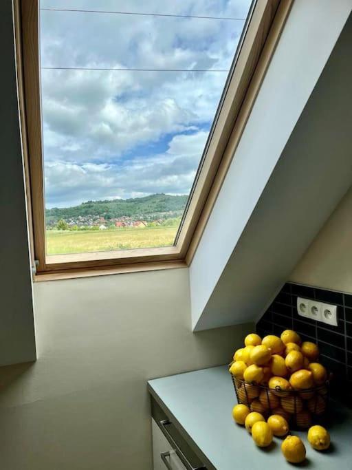 Apartament Hemingwaya Jelení Hora Exteriér fotografie