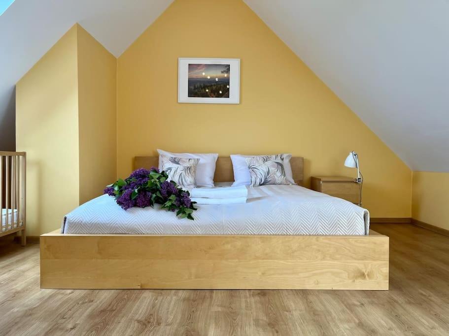 Apartament Hemingwaya Jelení Hora Exteriér fotografie