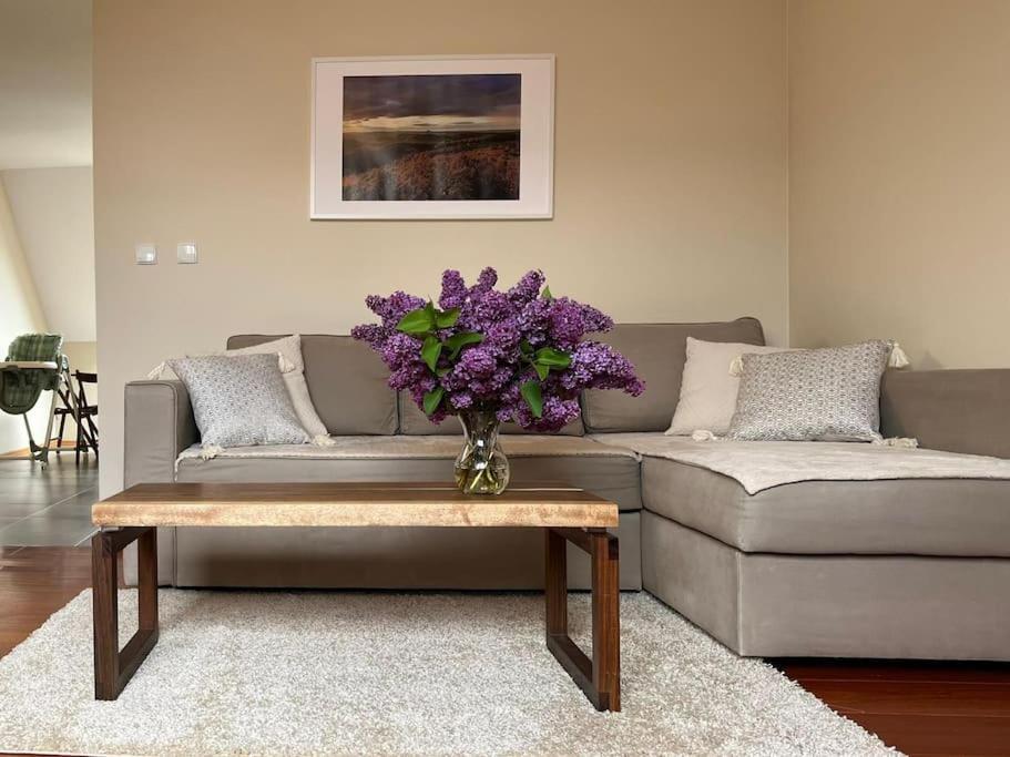 Apartament Hemingwaya Jelení Hora Exteriér fotografie